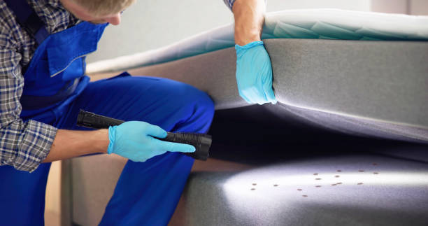 Best Wasp Removal Services  in Northfield, NJ